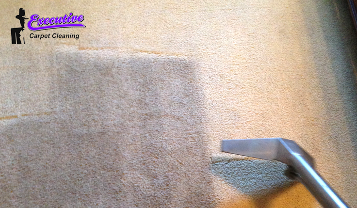 The Art of Carpet Cleaning in Enid, OK: Expert Insights from Executive Water Restoration