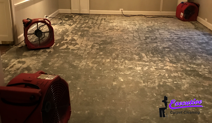 Water Extraction and Removal Services in Enid, OK