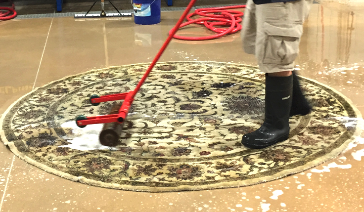 Carpet Cleaning