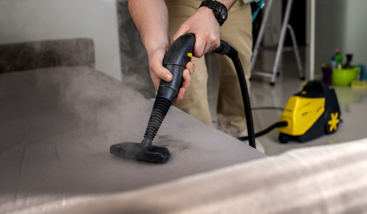 Furniture Cleaning