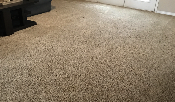 Area Carpet Cleaning