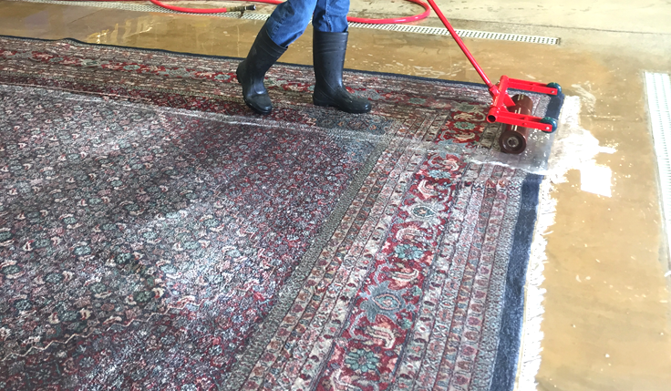 Pet Odor Removal