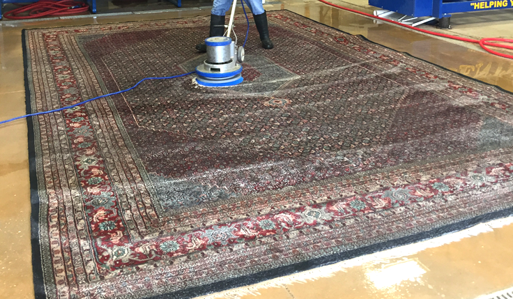 Wall to Wall Carpet Cleaning