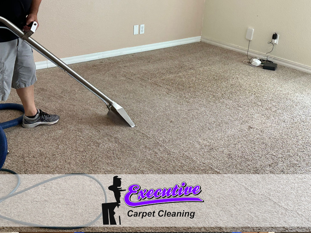 Expert Carpet Cleaning Services