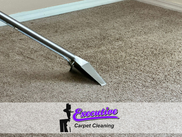 Professional Carpet Cleaning Services