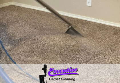 The Expert Guide to Carpet Cleaning Services in Aline, OK by Executive Water Restoration