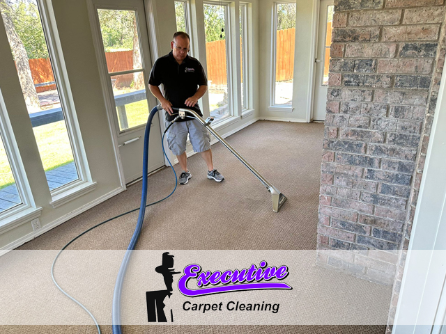 Professional Carpet Cleaning Services