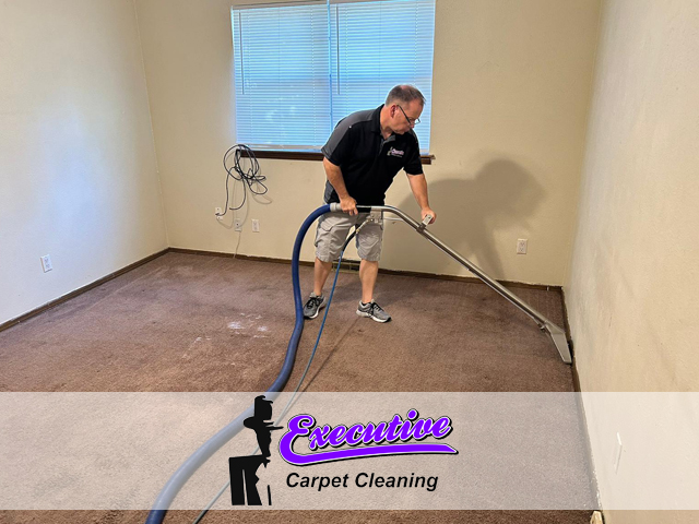 Expert Carpet Cleaning Service