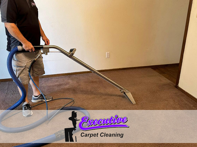 Professional Carpet Cleaning Services