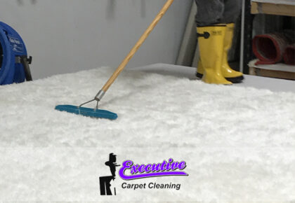 Preserving Timeless Elegance: Antique Carpet Cleaning in Enid, Oklahoma