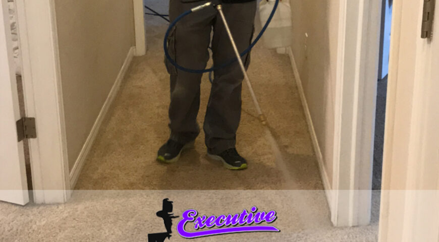 Persian Carpet Cleaning in Enid, Oklahoma: A Comprehensive Service by Executive Water Restoration