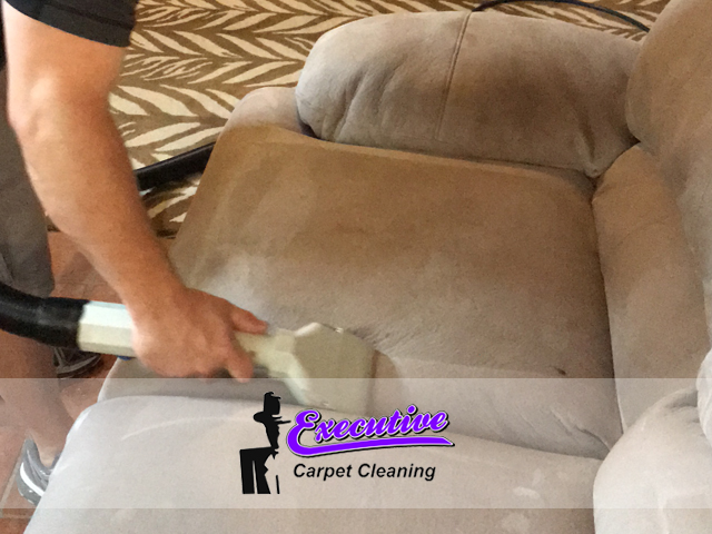 Upholstery Cleaning (2)