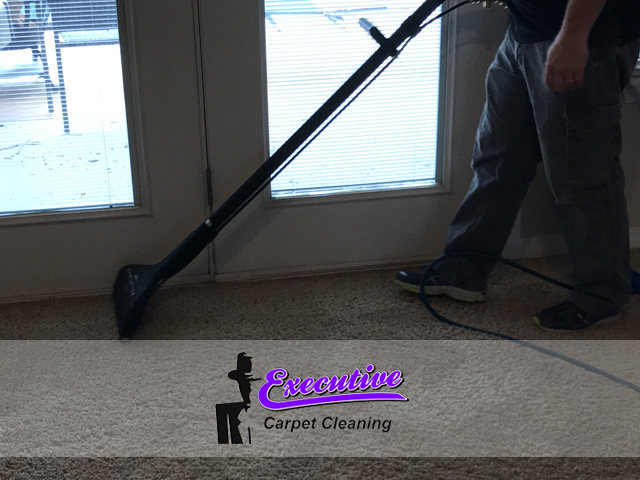 Wall to Wall Carpet Cleaning Service